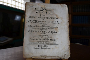Bat qol Sive Exercitationes Academicae de Vocis...