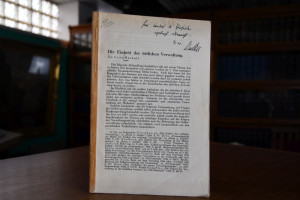 Die Einheit der örtlichen Verwaltung.