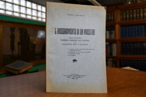 L`insegnamento di un maestro. Soluzioni filosof...