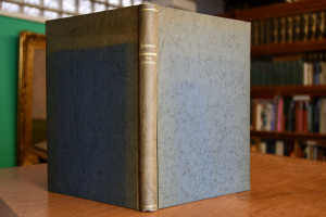 Der Pessimismus bei D.H. Lawrence.