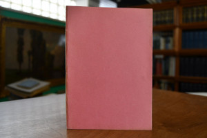 Der Umsturz im Reichstag. Eine Darstellung der ...