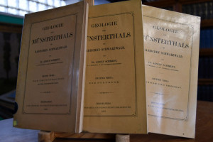 Geologie des Münsterthals im badischen Schwarzw...