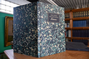 Bäume. Essays von Ernst Jünger und Wolf Jobst S...