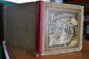 Jugendbrunnen. Alte Reime mit neuen Bildern.