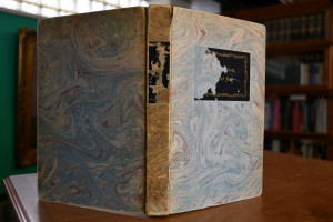 Ihr Saiten, tönet fort. Lyrik des achtzehnten J...