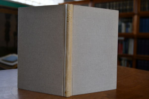 Bin oder Die Reise nach Peking.