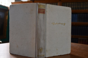 Mozart in Wien. Der Roman seiner Vollendung.