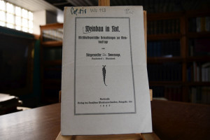 Weinbau in Not. Wirtschaftspolitische Betrachtu...