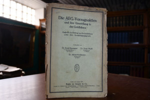 Die AEG-Vorzugsaktien und ihre Umstellung in de...