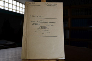 Bemerkungen zur Theorie der Steuersystematik.