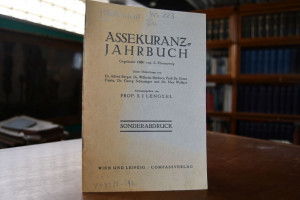 Über den Hattendorffschen Risikosatz.