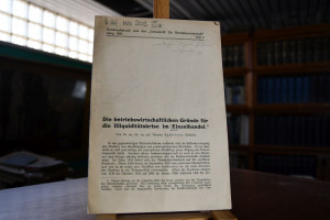 Die betriebswirtschaftlichen Gründe für die Ill...