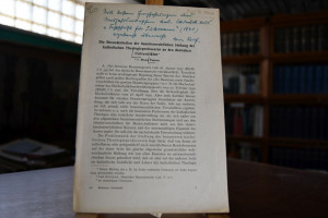 Die Besonderheiten der beamtenrechtlichen Stell...