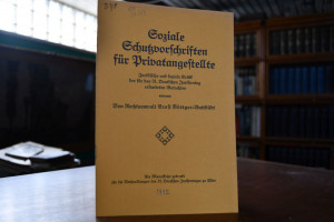 Soziale Schutzvorschriften für Privatangestellt...