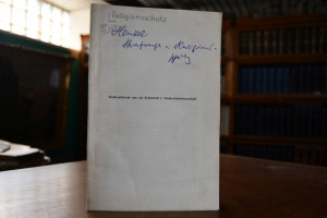 Strafrecht und Religionsschutz.