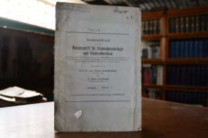 Grundsätzliches zur Strafbemessung nach dem Ent...