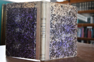 Wiener Federzeichnungen.