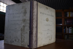 Die Miller von und zu Aichholz. Eine genealogis...