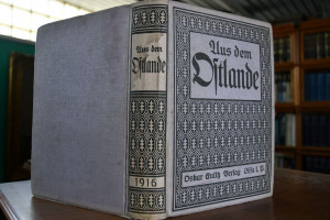 Aus dem Ostlande. Posener Land und Weichselgau....