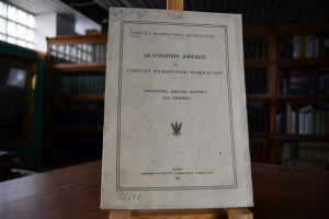 La Condition juridique de l`Institut Internatio...