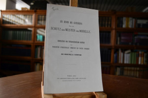 Zur Reform der Gesetzgebung über den Schutz der...