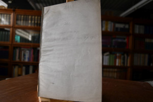 Die Revision der internationalen Verträge zum S...