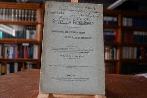 Der Schutz der Erfindungen unter Berücksichtigu...