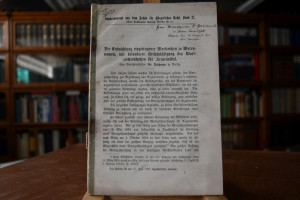 Die Entwicklung eingetragener Wortzeichen zu Wa...