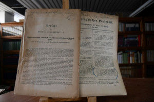 Bericht des Privilegienausschusses über die Reg...