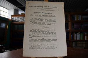 Entwurf eines Rayonsteuergesetzes.