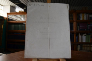 Maria, die Königin ohne Makel empfangen. Predig...