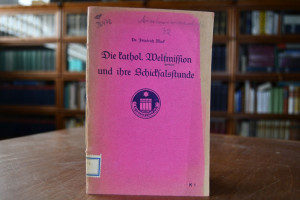 Die kathol. Weltmission und ihre Schicksalsstunde.