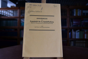 Gefährlichkeit als Schuldmoment.