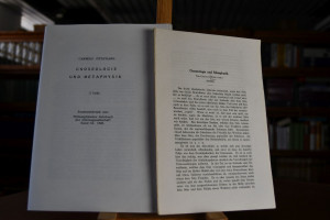 Gnoseologie und Metaphysik. 2 Teile.