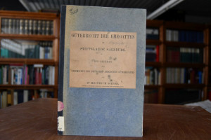 Das Güterrecht der Ehegatten im Stiftslande Sal...