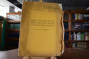 Urgeschichte des Menschen. Stand der Forschunge...