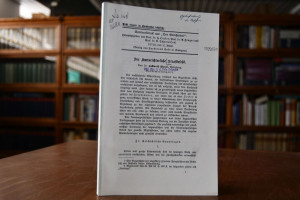 Der Amtsrichterliche Strafbefehl.