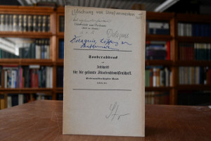 Die Löschung von Strafvermerken im Strafregiste...