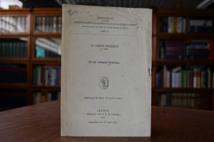 Für den bedingten Straferlass.