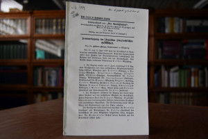 Sommertagung der Deutschen Strafrechtlichen Ges...