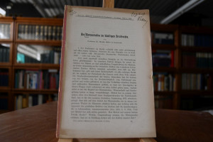 Die Ehrenstrafen im künftigen Strafrechte.