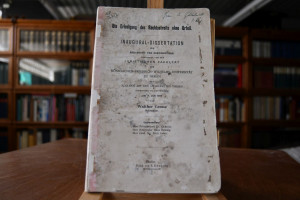 Die Erledigung des Rechtsstreits ohne Urteil.