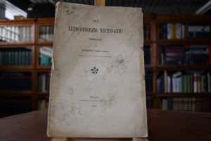 Sul Litisconsorzio necessario, Memoria.