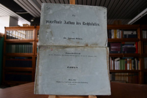 Der prozessuale Aufbau des Rechtsfalles.