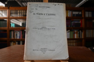 Il Torto e l`azione.