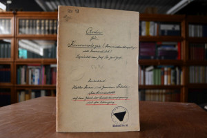 Die Kriminilatät auf dem Gebiet der Individualv...