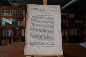 Zur Methodologie des sogenannten Kausalproblems.