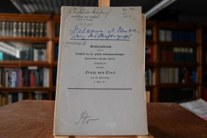 Die Umbildung des Strafbegriffs im modernen Kri...