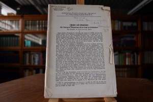 Hehler und Nutznießer. Ein Beitrag zur ANalogie...