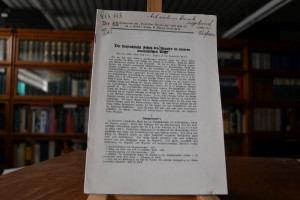 Der strafrechtliche Schutz des Staates im neuer...